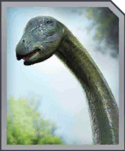 Apatosaurus