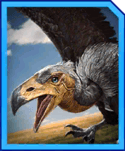 Argentavis