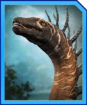 Bajadasaurus