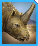 Elasmotherium