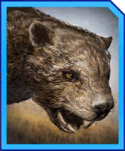 Marsupial Lion