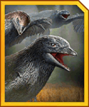 Microraptor