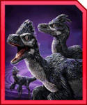 Sinokotaraptor