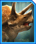 Triceratops