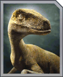 Velociraptor