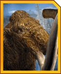 Woolly Mammoth