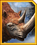 Woolly Rhino