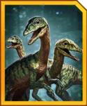 compsognathus