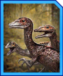 compsognathus_gen_2