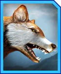 dire_wolf