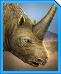 elasmotherium