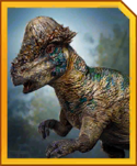 pachycephalosaurus