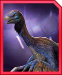 segnoraptor