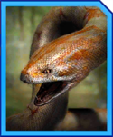 titanoboa_gen_2