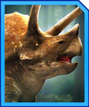 triceratops