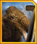 woolly_mammoth